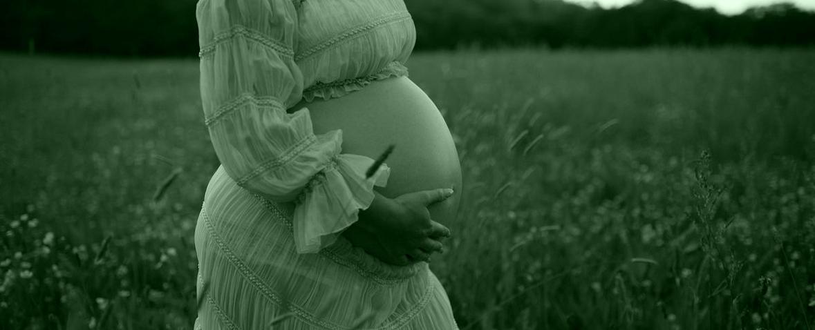 Acompañamiento nutricional Mercedes Martin